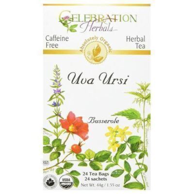 Organic Uva Ursi Tea  24 Bags By Celebration Herbals