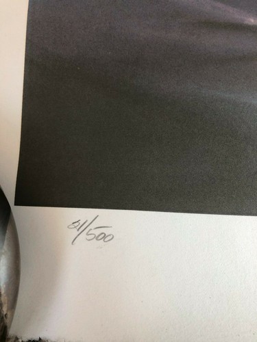 Sheila Wolk - Signed & Numbered Original Lithograph - USA Figure Skating 1988 - Picture 2 of 4