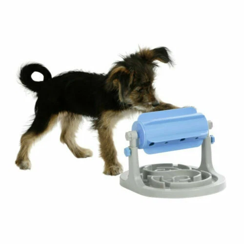 Articles bleus Kerbl pour chien