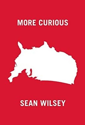 More Curious Hardcover Sean Wilsey