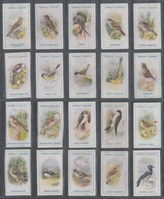 cigarette cards birds CIGARETTE CARD PART SET GALLAHER, BRITISH BIRDS BY GEORGE RANKIN 1923  (ID:CB441)