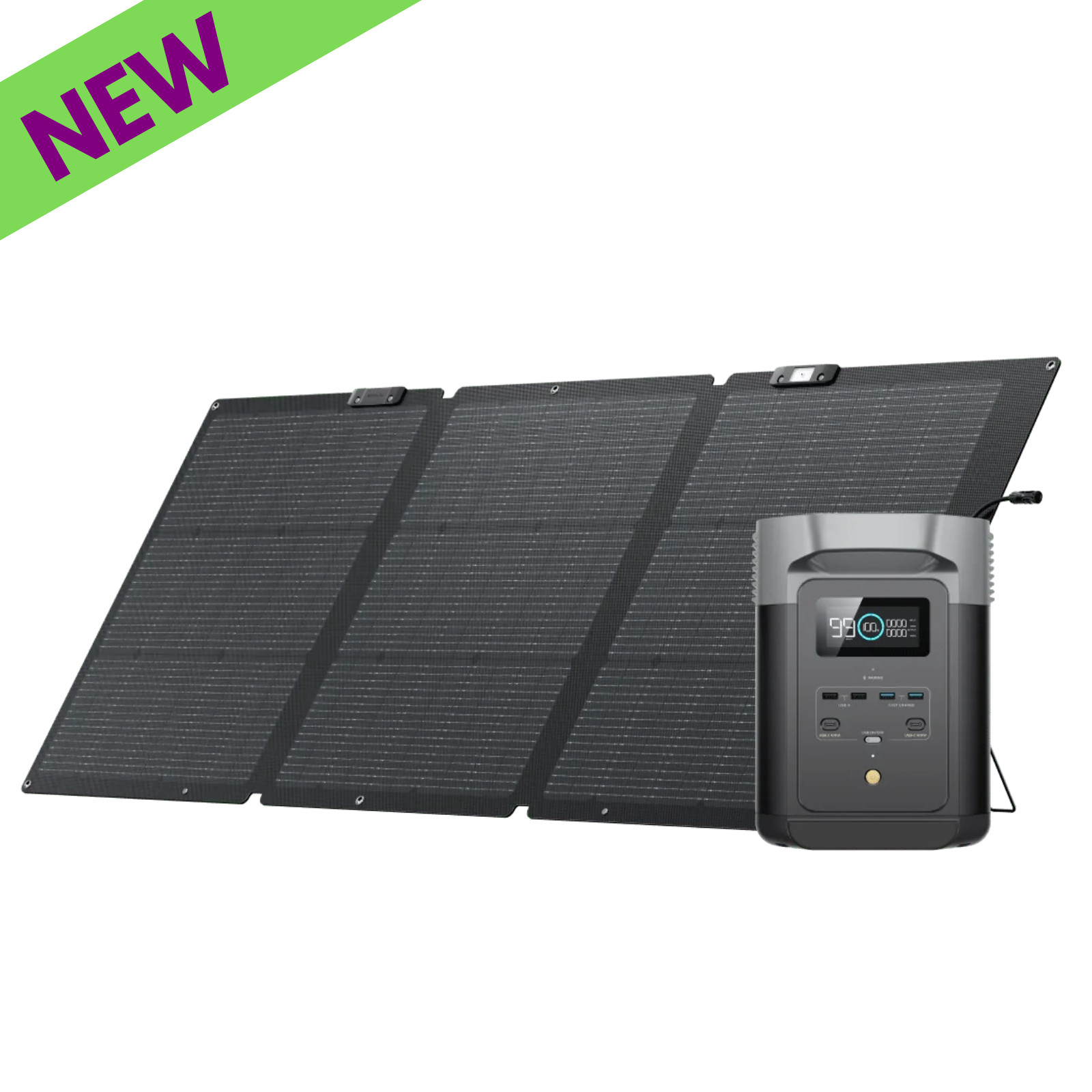 EcoFlow DELTA 2 Portable Power Station 1024Wh + One 160W Solar Panel