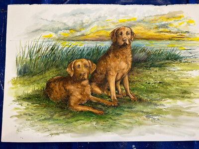 Chesapeake Bay Retrievers Color Print By Martha Van Loan 11 X17