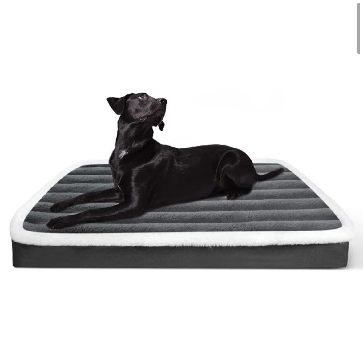 Coussin Chien Ergonomique contre les Douleurs Articulaires Taille L
