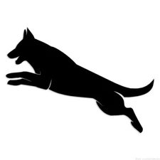 Belgian Malinois - Decal Sticker - Multiple Colors & Sizes - ebn6943