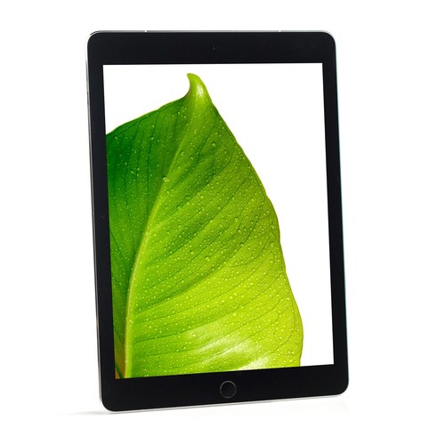 Apple iPad Pro 9.7" 2016 Space Gray 256GB Wi-Fi Touch Tablet MLMY2LL/A A1674 - B - Picture 2 of 9