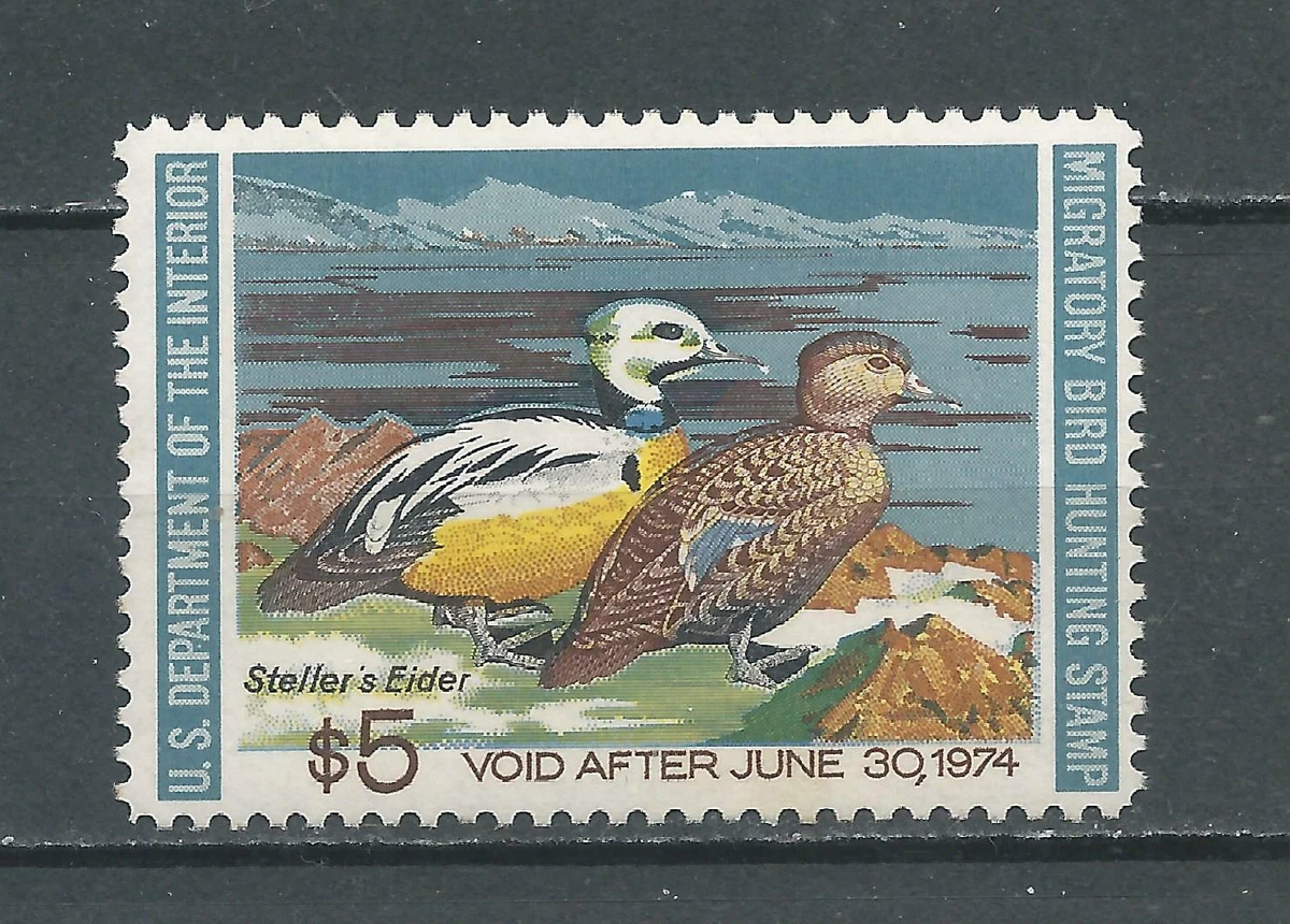 Timbre US Federal Duck Stamp 1952 - RW19 - Valeur $2 - Chasse Aux Canards - État MNH (Neuf Sans Charnière)