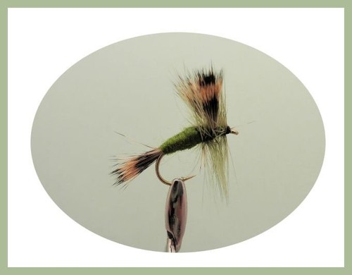 Early Season Trout Fishing flies 120 in 2 Boxes, Great selection for Fly Fishing - Picture 3 of 10