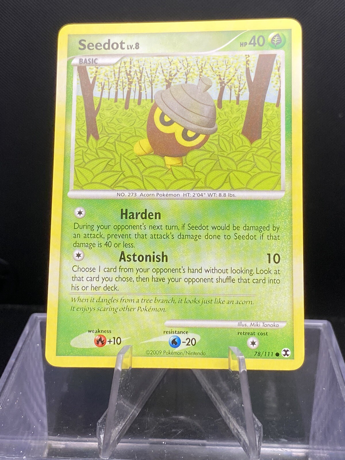 Seedot 78/111 | Platinum - Rising Rivals | Common | Pokemon NM-VLP