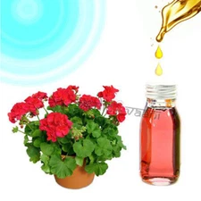 Geranium Oil Vedic Vaani