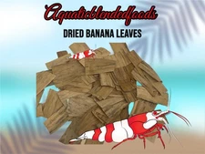 ABF Banana Leaves Cherry Shrimp Shrimp Food, Shrimp Kit Betta Shrimp Tank