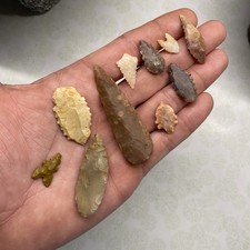 MLC s8391 (10) Neolithic Arrowheads Sahara Desert Birdpoints Africa Artifacts