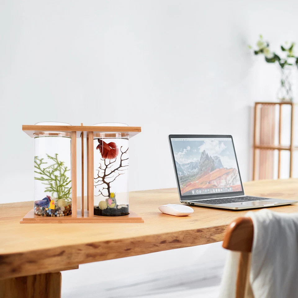 Small Betta Desktop Dual Glass Fish Tank Mini Table Aquarium Betta Fish Bowl - Image 2 of 4