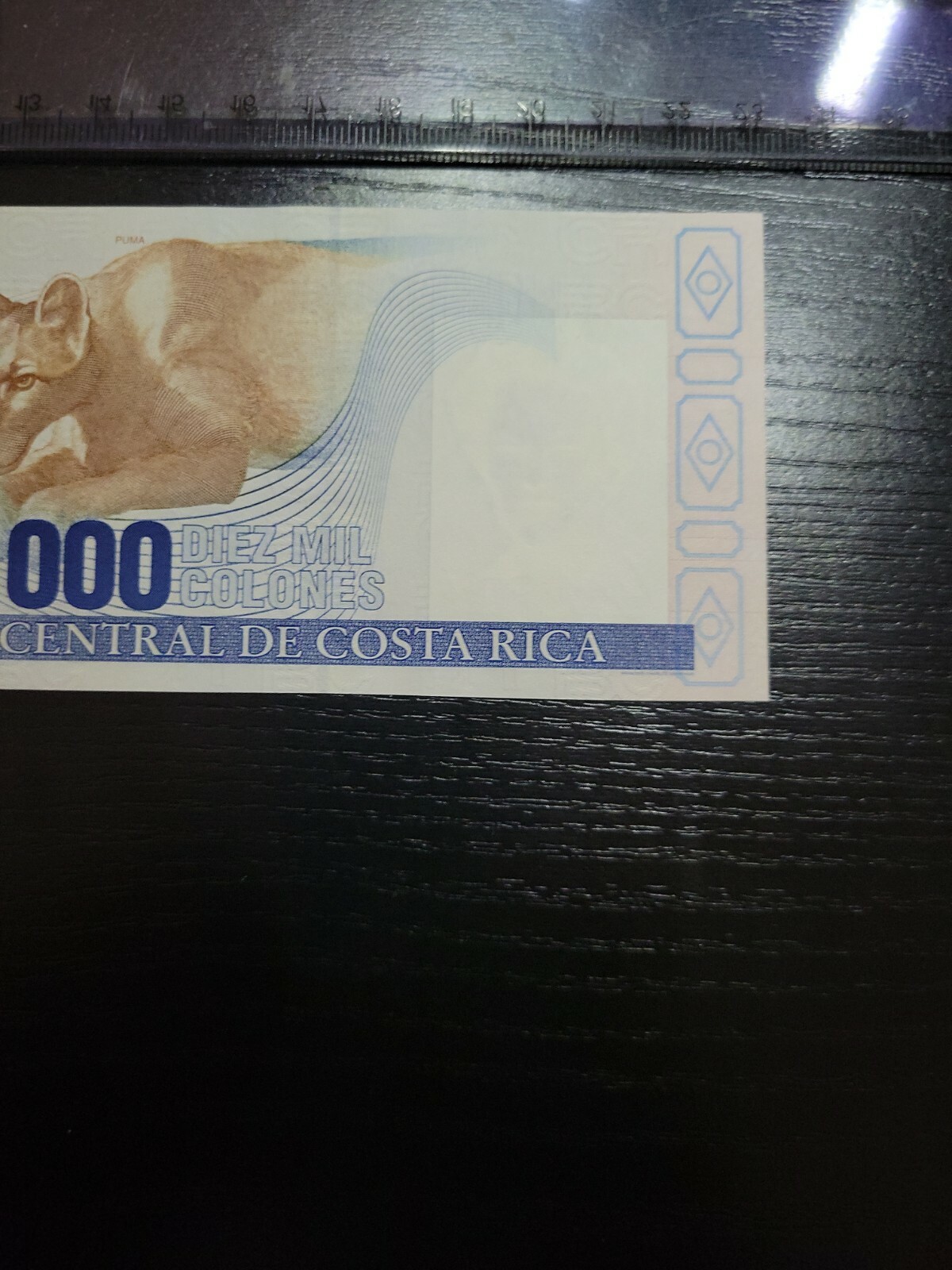 Foto 8 di 8