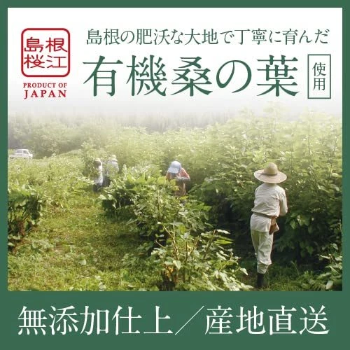 Té de morera orgánico Shimane Organic Farm 2,5 g x 36 bolsitas de té de JAPÓN Foto 2 de 4
