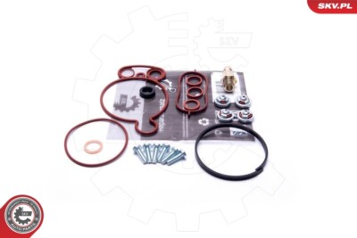 ESEN SKV 18SKV805 Reparatursatz, Unterdruckpumpe (Bremsanlage) für VW