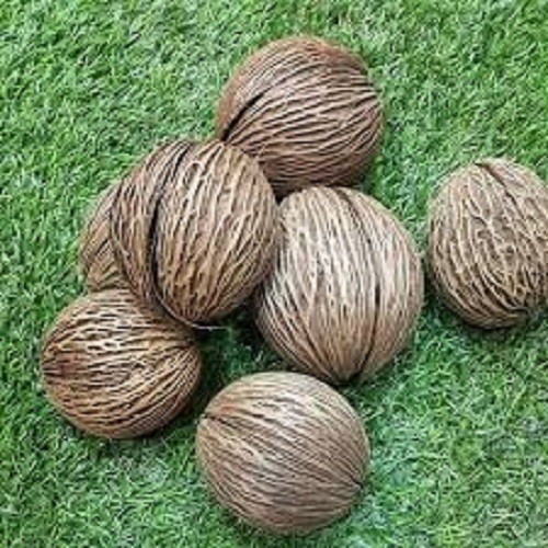 Thai Natural 100% 6 Pieces for Home Decor or Plant Trees Multipurpuse