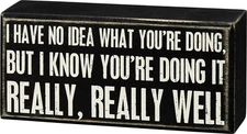 Primitives By Kathy Box Sign ~ No Idea What You Are Doing But You're Doing Well