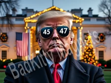 Donald Trump America's President 45 47 2024 Metal Fridge Magnet 3x4 7373