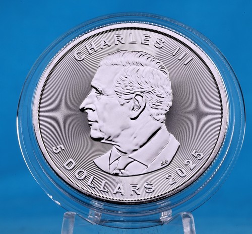 2025 Canada Farbmünze Ancient Egypt Ankh (3.) 1 OZ SILBER - COLOR EDITION - Afbeelding 11 van 13