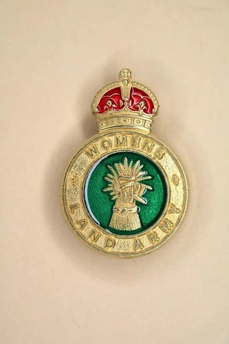 WW2 WOMENS LAND ARMY VETERANS MILITARY ARMED FORCES CAP LAPEL ENAMELLED BADGE