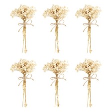6 Pcs Mini Dried Flower Bouquet Baby's Breath Boho DIY Gift White