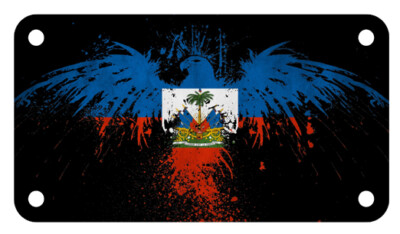 GUATEMALA Flag Custom License Plate Guatemalan Central American Fuzzy Version