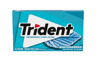 Trident Wintergreen Sugar Free Gum, 12 Packs of 14 Pieces (168