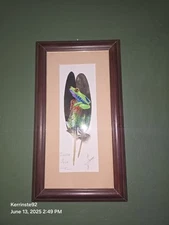 Unique Hand Painted Feather Frog Costa Rica Framed Artist Signed 