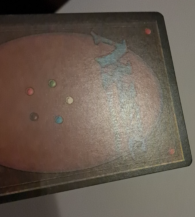 Picture 5 of 6