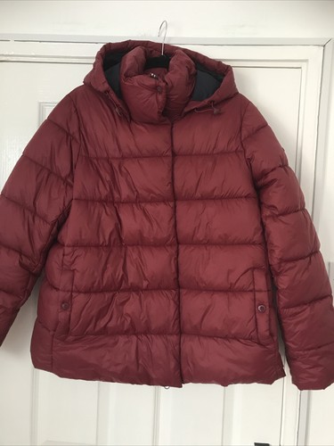 BNWT Barbour Jacket Hooded Limpet 