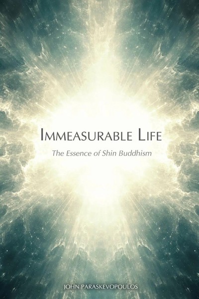 John Paraskevopoulos | Immeasurable Life | Taschenbuch | Englisch (2020)-image