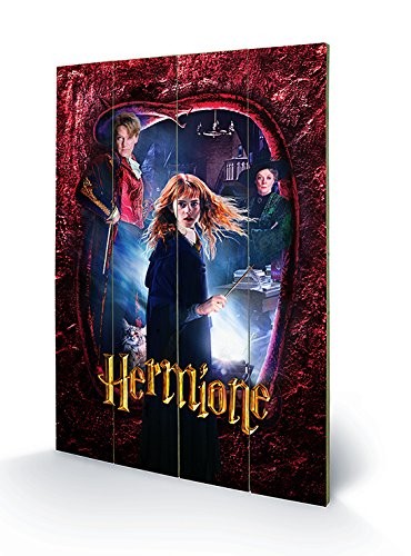 Pyramid International Harry Potter Hermione Wood Print 40 x 59cm Multi-Colour 11090₽
