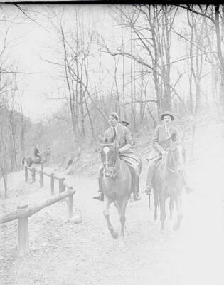 Eleanor Roosevelt Riding Horse 1933 Photo Here's Mrs. Franklin D. Roosevelt sw