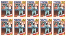 (10) 1988 Topps Revco League Leaders Baseball #5 Tim Raines Lot Expos