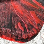 Bild 12 von 12