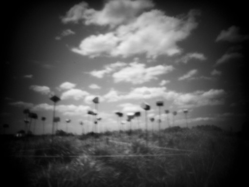 Rising Pinhole breites Objektiv für Canon - Bild 6 von 10