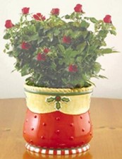 Mary Engelbreit Twas Planter - 118545