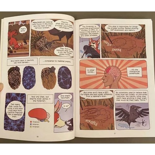Science Comics : Get to Know Your Universe 28 Books Full Color Kids Collections - 第 6/11 張圖片