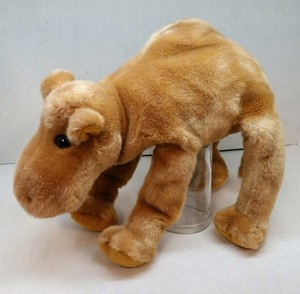 ty humphrey the camel