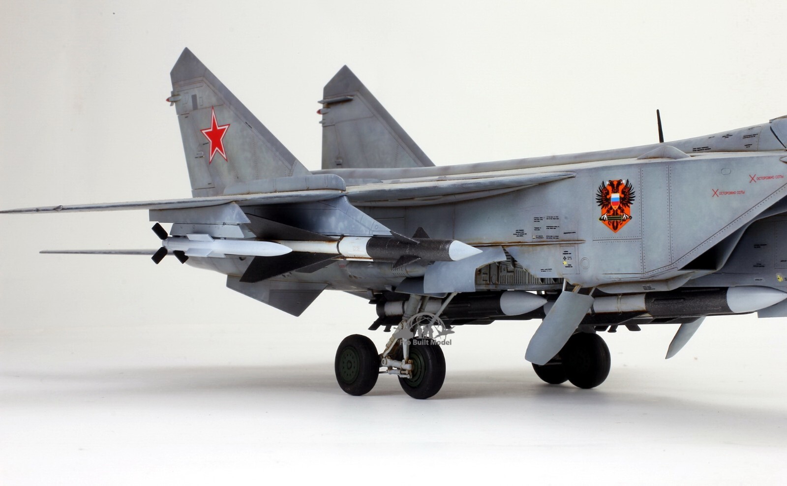 PreSale Russia MiG-31 Foxhound 1:48 Pro Built Model