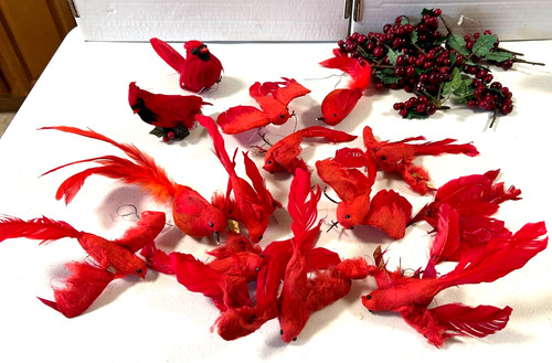 Vintage Lot of Red Bird Cardinal with Feathers and Holly Pieces Used Decor
