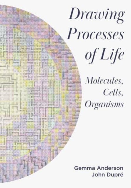 Drawing Processes of Life by Gemma Anderson-Tempini (Paperback Book)