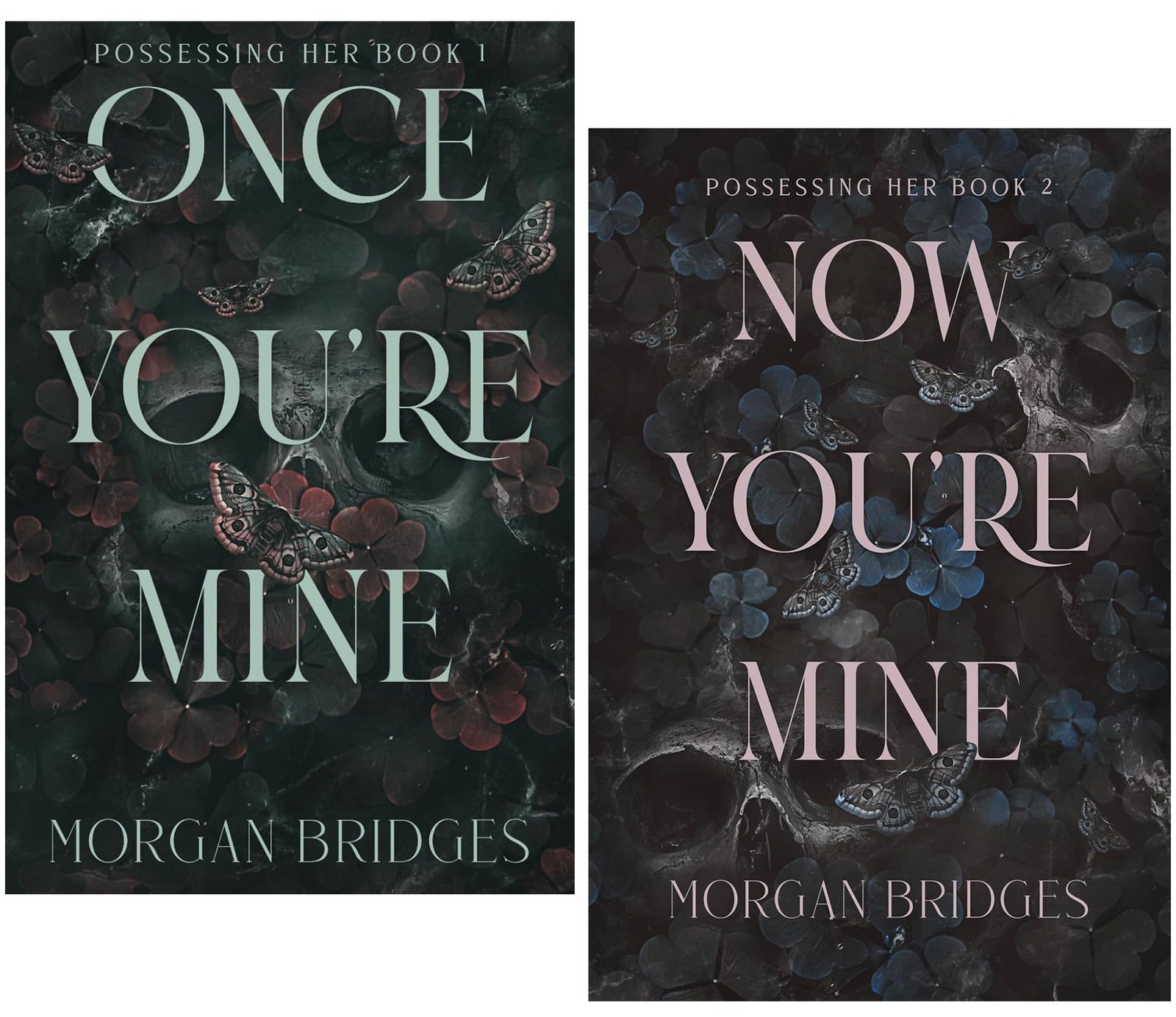 Possessing Her Series 2 Books Set by Morgan Bridges Once You're Mine, Now You'r - Image 2