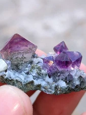 Karur Amethyst sceptre on matrix Natural Mineral specimen Crystal rock