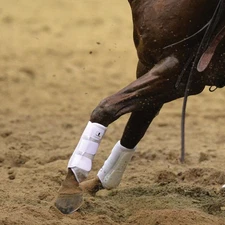 Classic Equine Air Wave EZ Wrap II Horse Boots - Splint & Tendon Protection