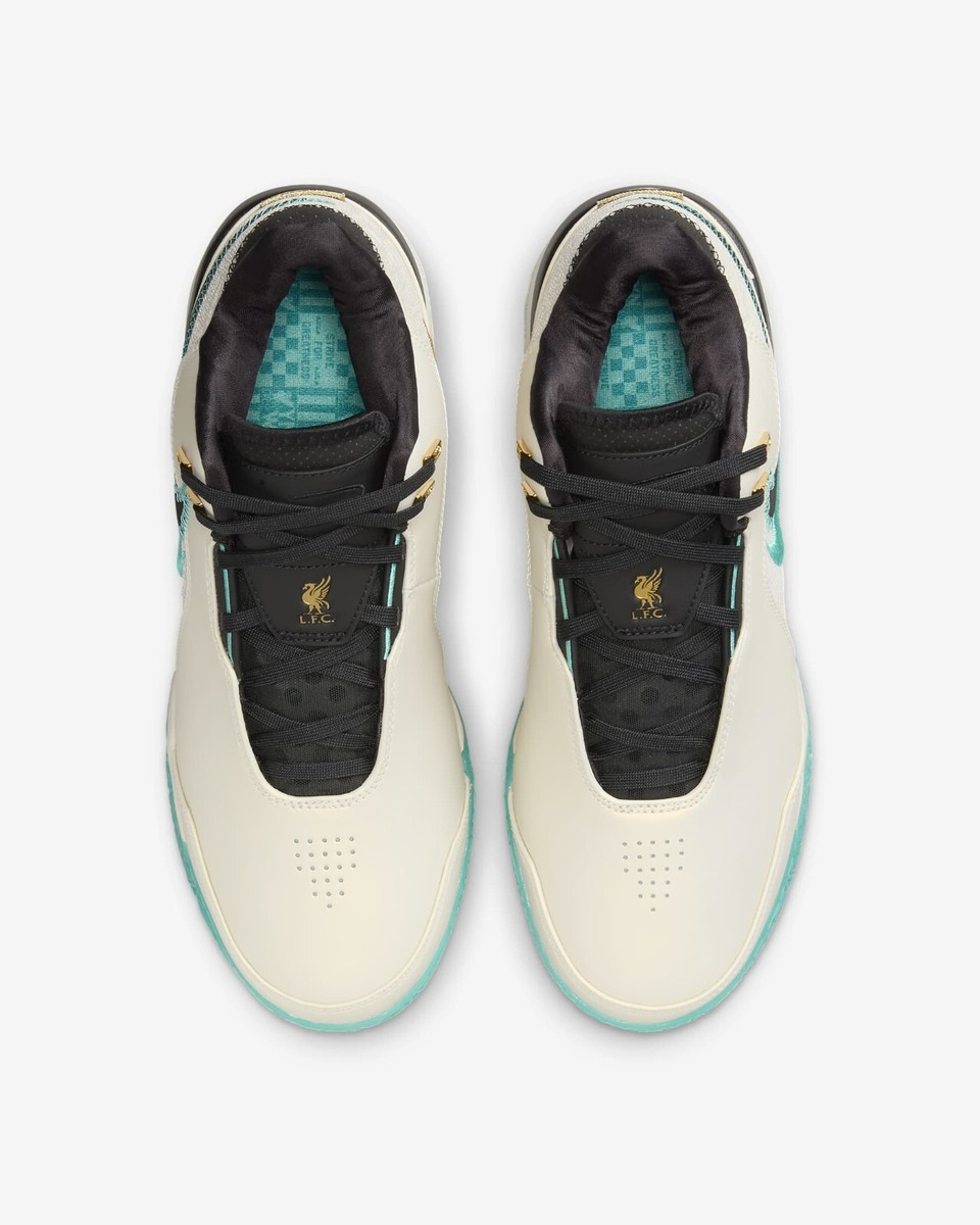 【新品未使用】LeBron リバプール Nike XL s-l1200.jpg