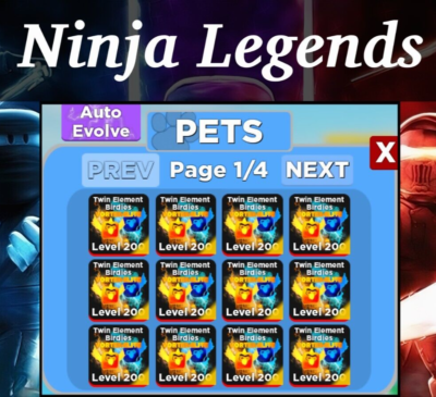 Ninja Legends Pets ROBLOX - Twin Element Birdies MAX OUT x2 [Fast