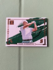 2024 PANINI IMPECCABLE LIV 89 CHARL SCHWARTZEL 99/99 Color Match