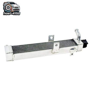Aluminium Water Racing Radiator Silver For GO KART ROTAX MINI-MAX / MICRO-MAX